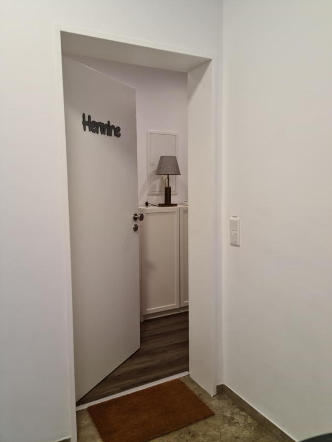 Pilgrims "Hermine" Fewo Mit 3 Schlafzimmern, Balkon, Fast Internet Brilon Extérieur photo